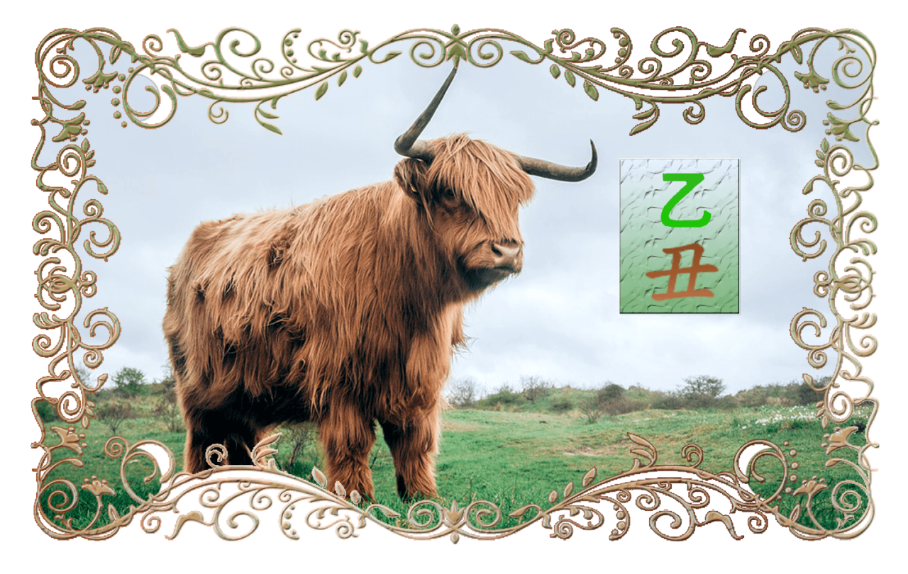 Год бика. Бык. Календарики год быка. Китайский бык. Символ быка.