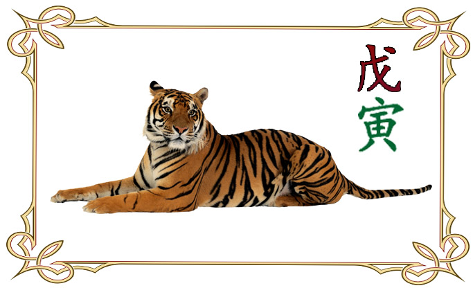 февраль 2020 тигр